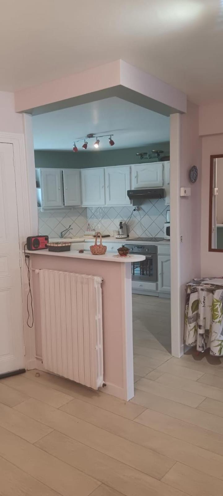 Appartement 120 M² Duplex Coeur Historique Au Calme Le Puy-en-Velay Exterior foto
